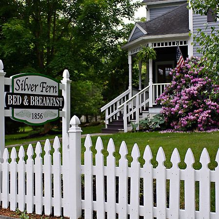 Silver Fern Bed And Breakfast Peninsula エクステリア 写真