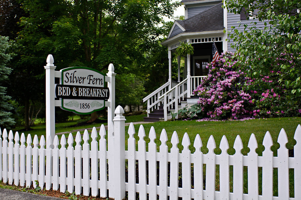 Silver Fern Bed And Breakfast Peninsula エクステリア 写真